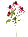 29" Echinacea