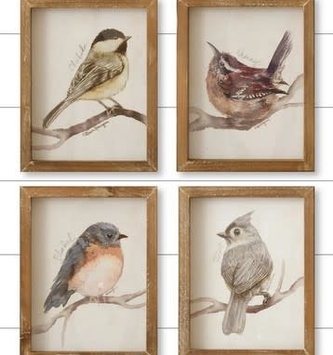 Woodland Framed Bird Print