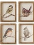 Woodland Framed Bird Print