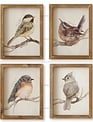 Woodland Framed Bird Print