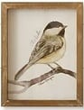Woodland Framed Bird Print
