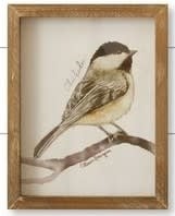 Woodland Framed Bird Print