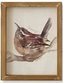 Woodland Framed Bird Print