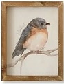 Woodland Framed Bird Print