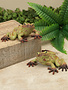 Weathered Garden Frog (2-Styles)