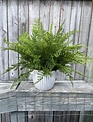 Custom Lace and Sword Fern in White Ribbed Container