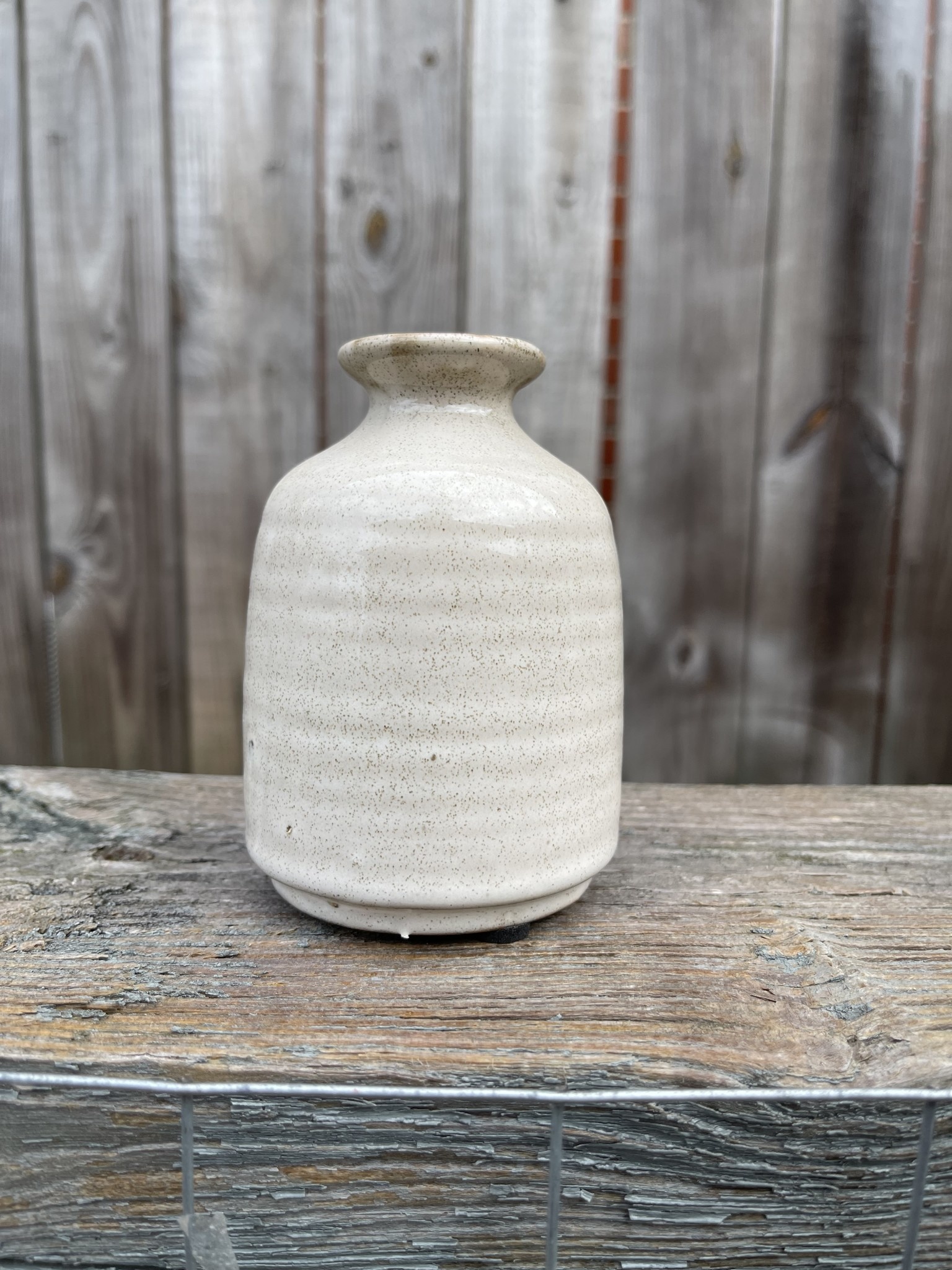 Speckled Cream Pottery Vase (4-Styles)