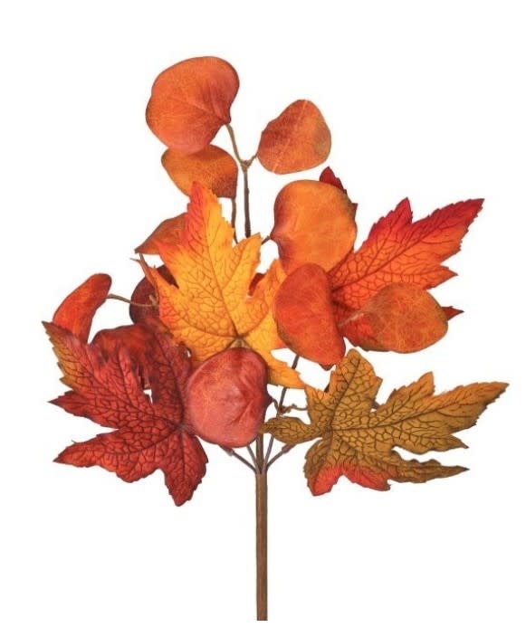 Mixed Fall Leaf Pick