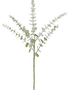 Snowy Eucalyptus Spray