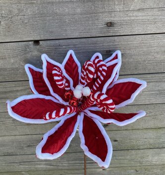 22" Peppermint Poinsettia Spray