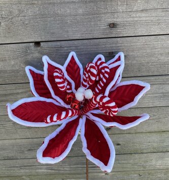 22" Peppermint Poinsettia Spray