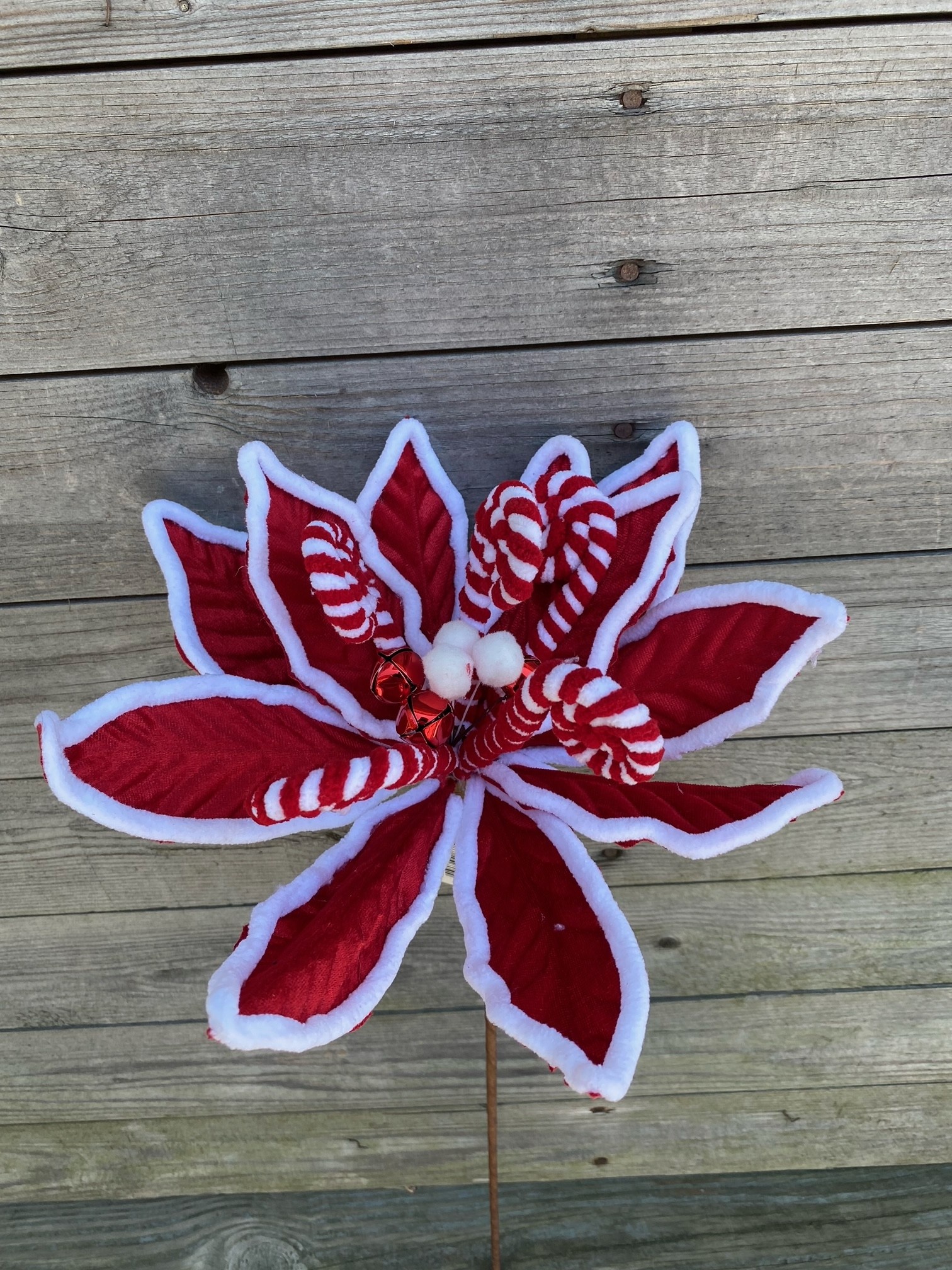 22" Peppermint Poinsettia Spray 22" Peppermint Poinsettia Spray