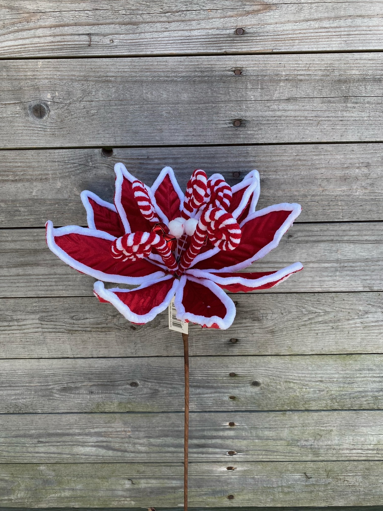 22" Peppermint Poinsettia Spray 22" Peppermint Poinsettia Spray