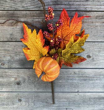 Fall Pumpkin Berry Pick