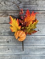 Fall Pumpkin Berry Pick