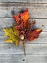 Fall Acorn Leaf Pick