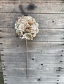 20" Jeweled Hydrangea Stem