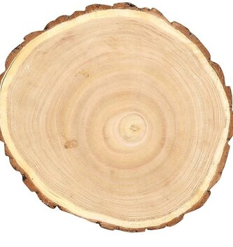Round Paulowina Wood Slice