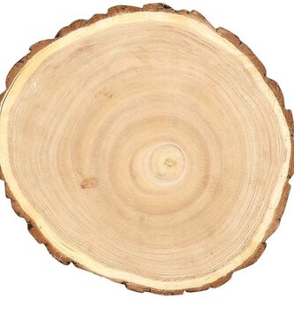 Round Paulowina Wood Slice