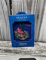 Etched Metal Blowing Rock Ornament (7-Styles)