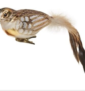 Glass Clip on Feathered Tail Bird Ornament