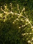 6-ft Electric LED Twig Garland (2-Colors)