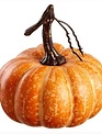 Small Vine Speckled Pumpkin (2-Styles)