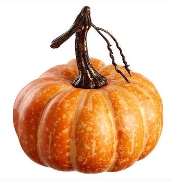 Small Vine Speckled Pumpkin (2-Styles)