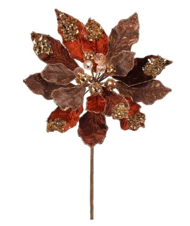 Copper Jeweled Poinsettia