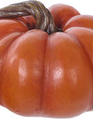 Twisted Stem Ridged Pumpkin (3-Colors)