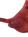 Mini Red Cardinal (4-Styles)