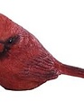 Mini Red Cardinal (4-Styles)