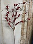 43" Red Berry Branch