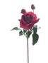 22" Natural Touch Sweet Juliet English Rose (3-Colors)