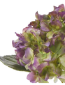 Natural Touch Garden Hydrangea (6 Colors)