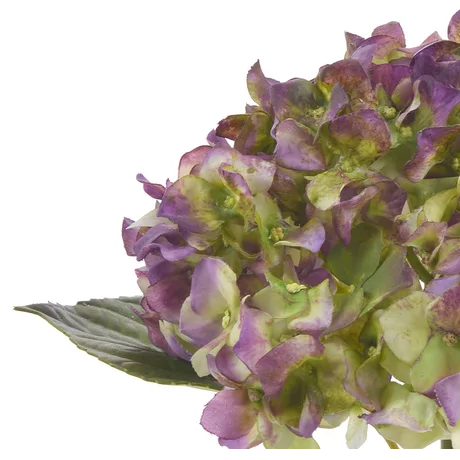 Natural Touch Garden Hydrangea (6 Colors)