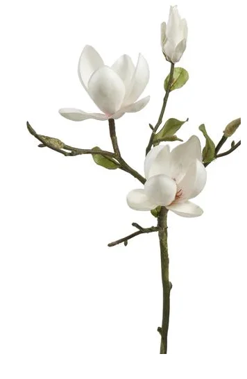 20" Tree Magnolia Pick (2-Colors)