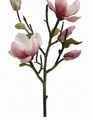 20" Tree Magnolia Pick (2-Colors)