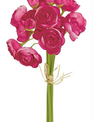 Ranunculus Bud Bundle (3-Colors)