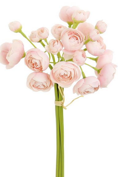 Ranunculus Bud Bundle (3-Colors)