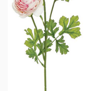 Double Bloom Ranunculus Stem (2-Colors)