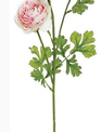 Double Bloom Ranunculus Stem (2-Colors)