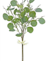 Eucalyptus & Seed Bundle