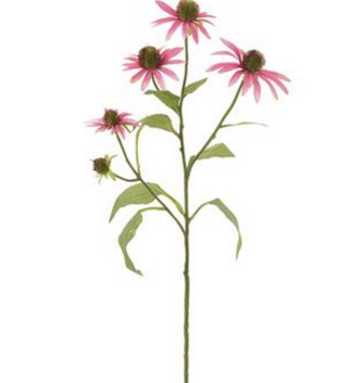 29" Pink Rudbeckia Spray