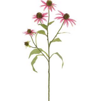 29" Pink Rudbeckia Spray