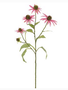 29" Pink Rudbeckia Spray