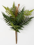 Forest Fern Bush w/ Fronds