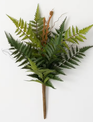 Forest Fern Bush w/ Fronds