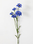 Garden Cornflower Spray