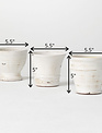 White Distressed Round Container (3-Styles)